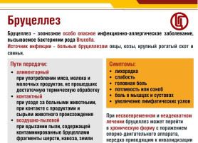 Памятка о бруцеллезе Памятка о бруцеллезе.