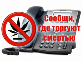 I этап Общероссийской акции «Сообщи, где торгуют смертью» I этап Общероссийской акции «Сообщи, где торгуют смертью».